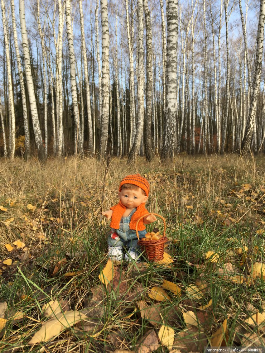 Засентябрило в Ноябре, засентябрило (фото 2)