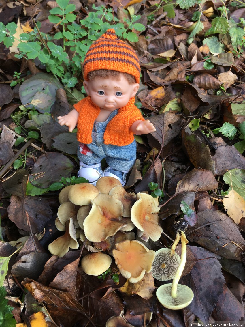 Засентябрило в Ноябре, засентябрило (фото 9)