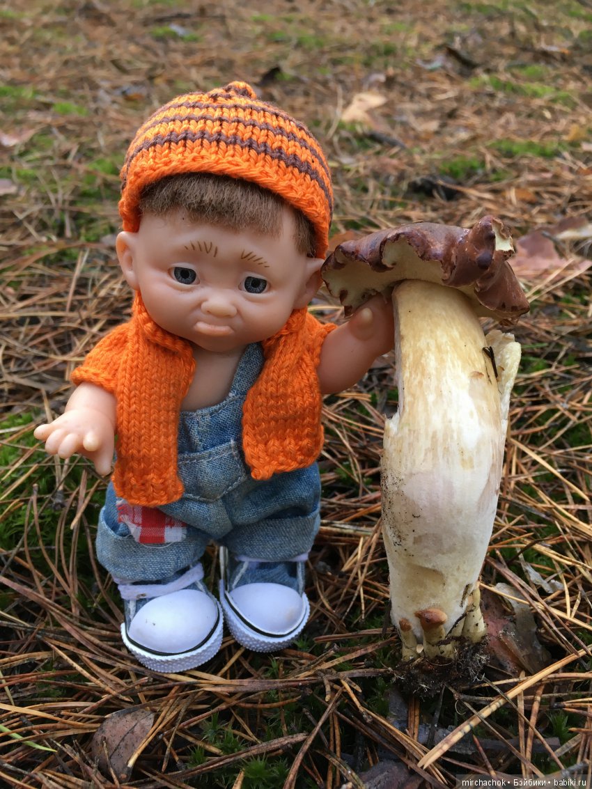 Засентябрило в Ноябре, засентябрило