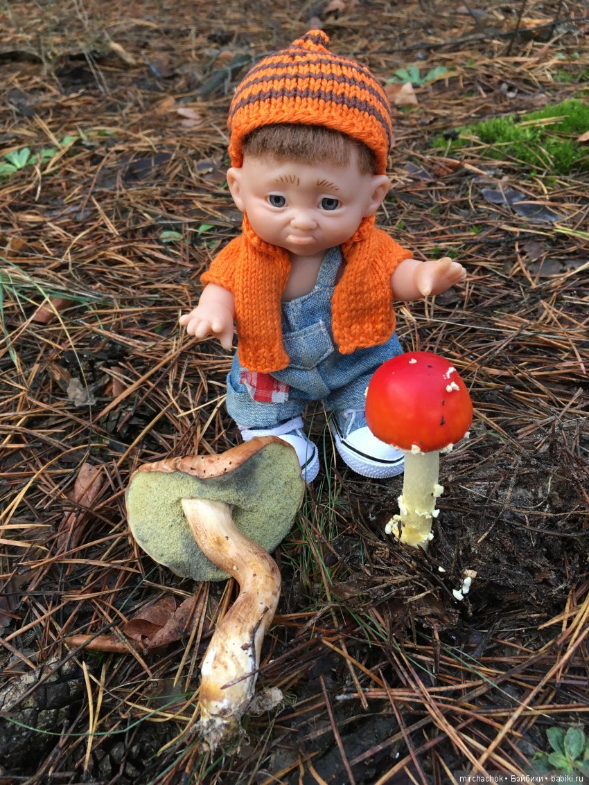 Засентябрило в Ноябре, засентябрило