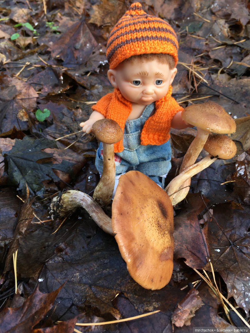 Засентябрило в Ноябре, засентябрило