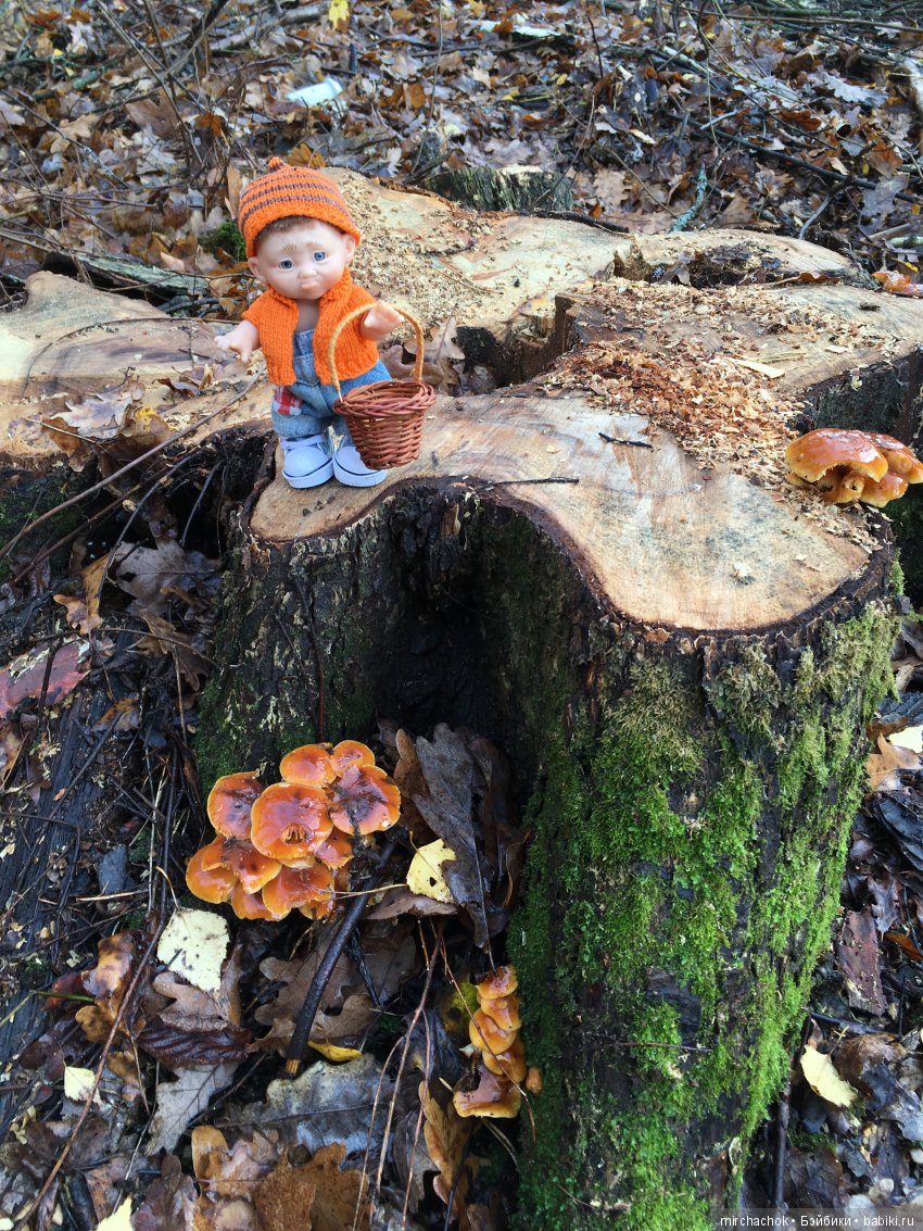 Засентябрило в Ноябре, засентябрило