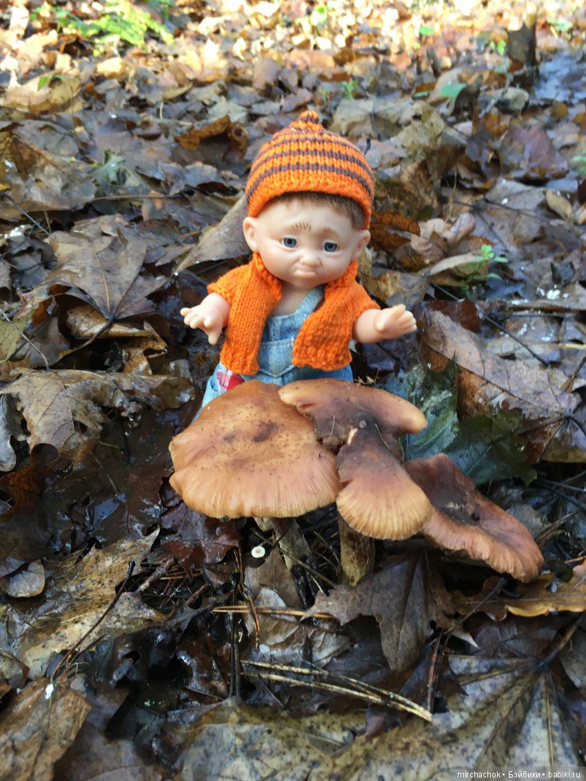 Засентябрило в Ноябре, засентябрило