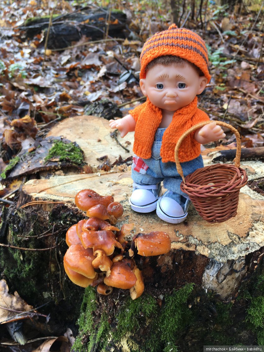 Засентябрило в Ноябре, засентябрило