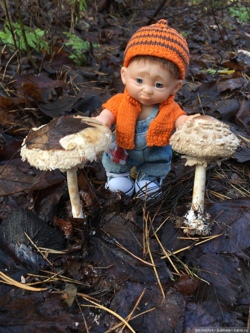 Засентябрило в Ноябре, засентябрило