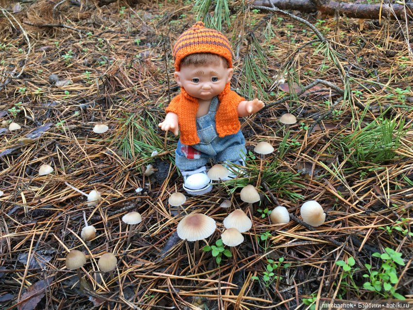 Засентябрило в Ноябре, засентябрило (фото 6)