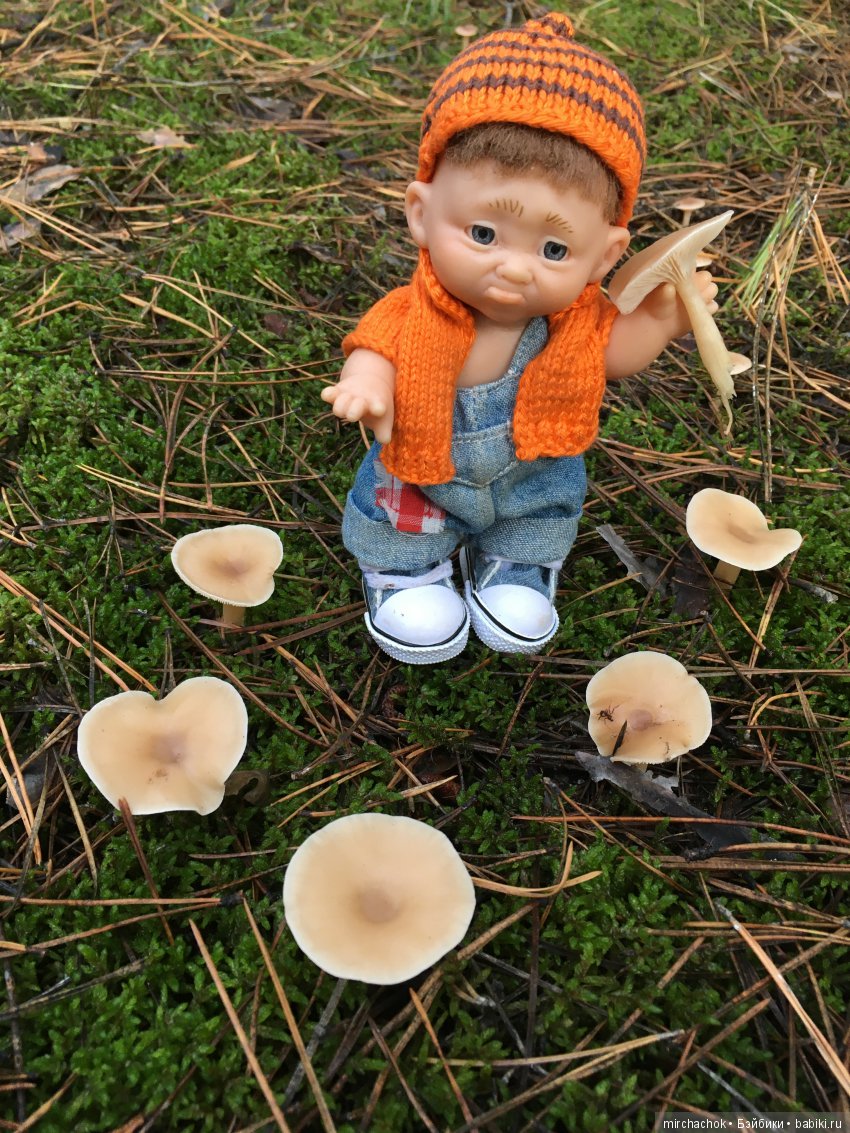 Засентябрило в Ноябре, засентябрило (фото 5)