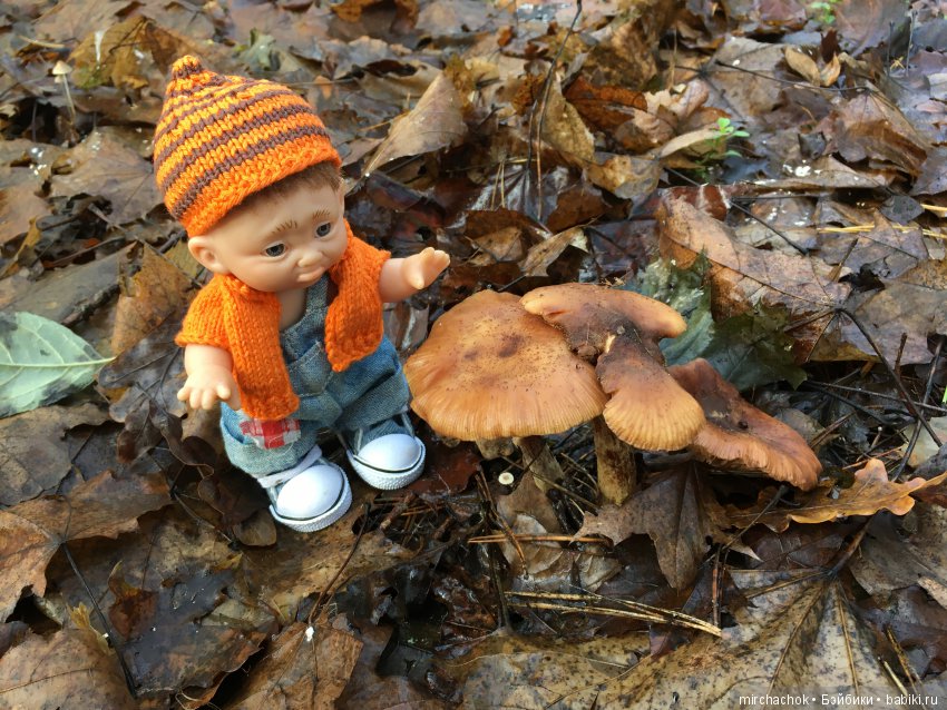 Засентябрило в Ноябре, засентябрило