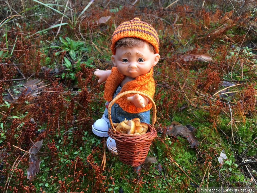 Засентябрило в Ноябре, засентябрило (фото 3)