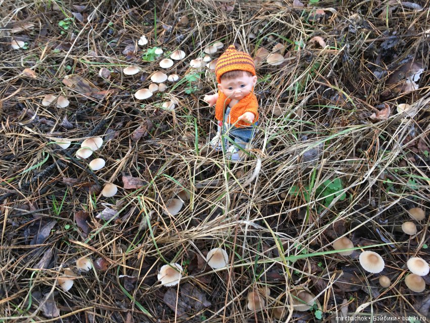 Засентябрило в Ноябре, засентябрило (фото 4)