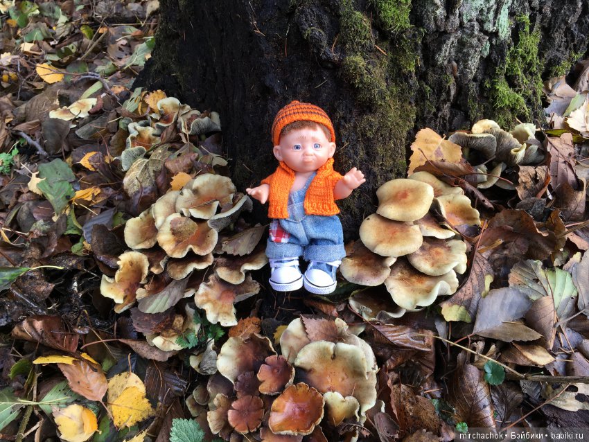 Засентябрило в Ноябре, засентябрило (фото 8)