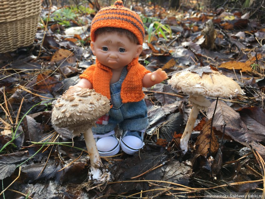 Засентябрило в Ноябре, засентябрило