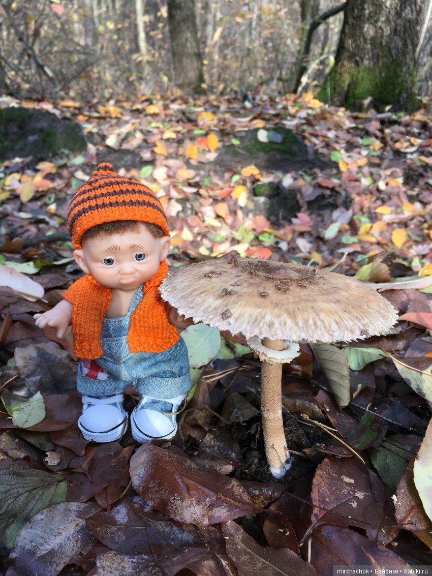 Засентябрило в Ноябре, засентябрило (фото 10)