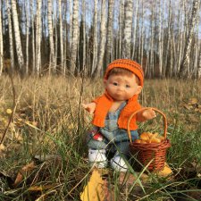 Засентябрило в Ноябре, засентябрило