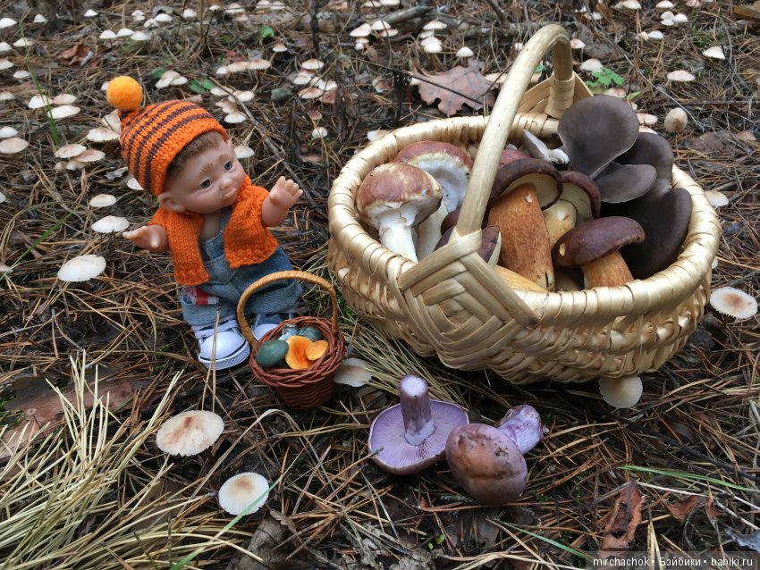 Зима с каждым днём всё ближе