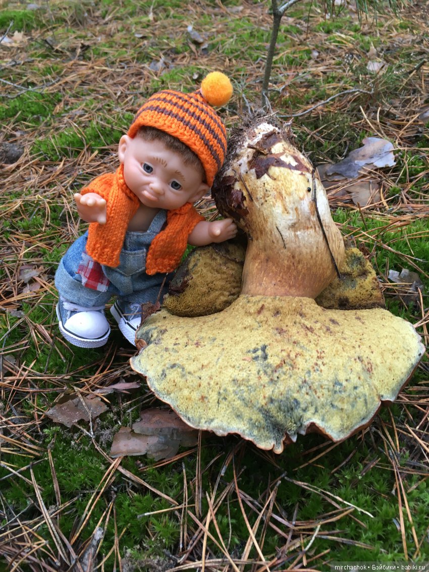 Зима с каждым днём всё ближе (фото 7)