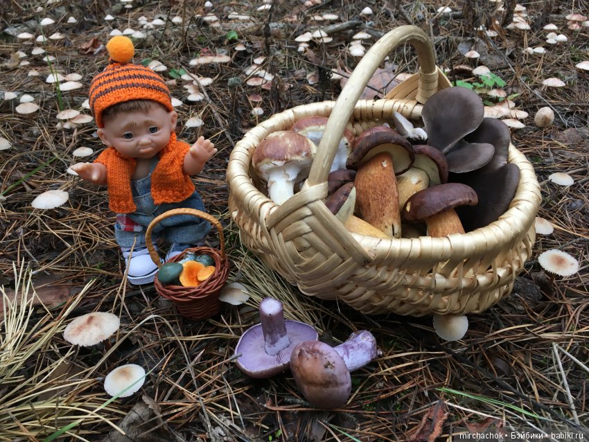 Зима с каждым днём всё ближе (фото 2)