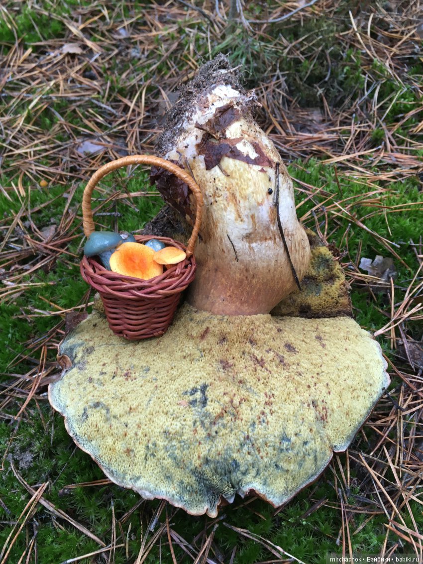 Зима с каждым днём всё ближе (фото 9)