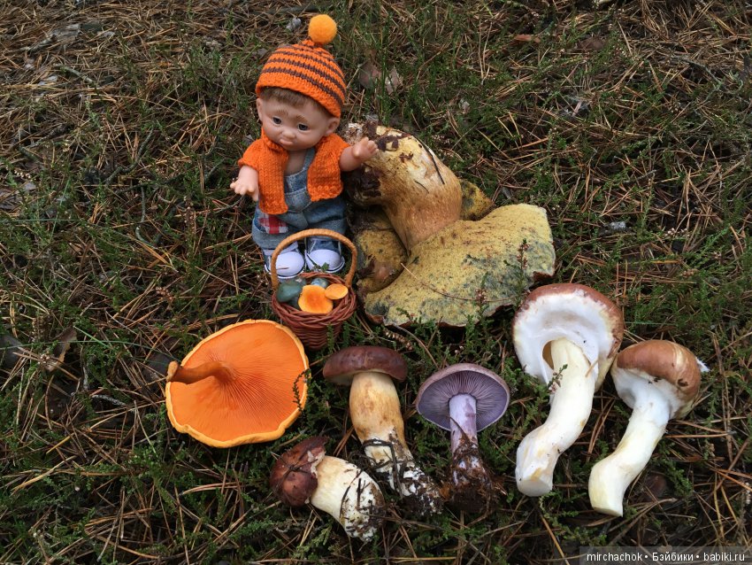 Зима с каждым днём всё ближе (фото 6)