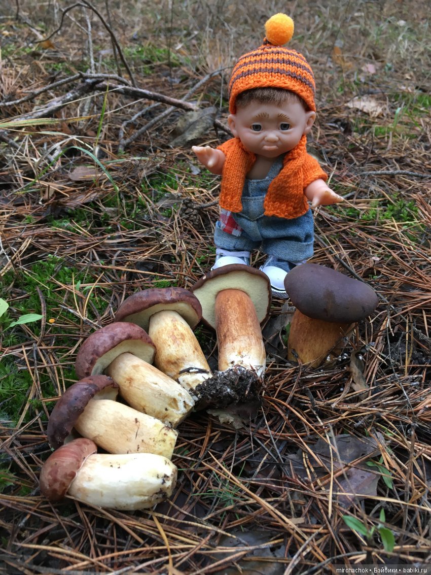 Зима с каждым днём всё ближе (фото 3)