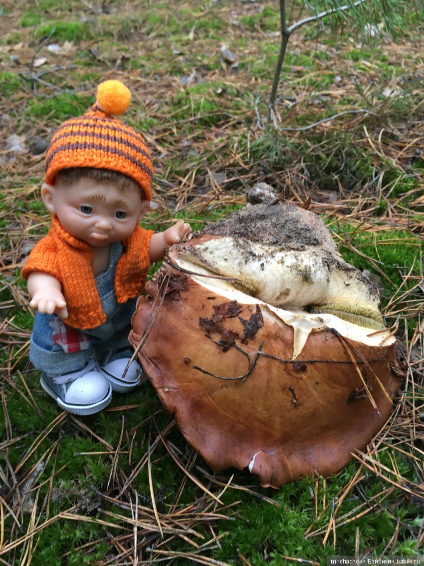 Зима с каждым днём всё ближе (фото 8)