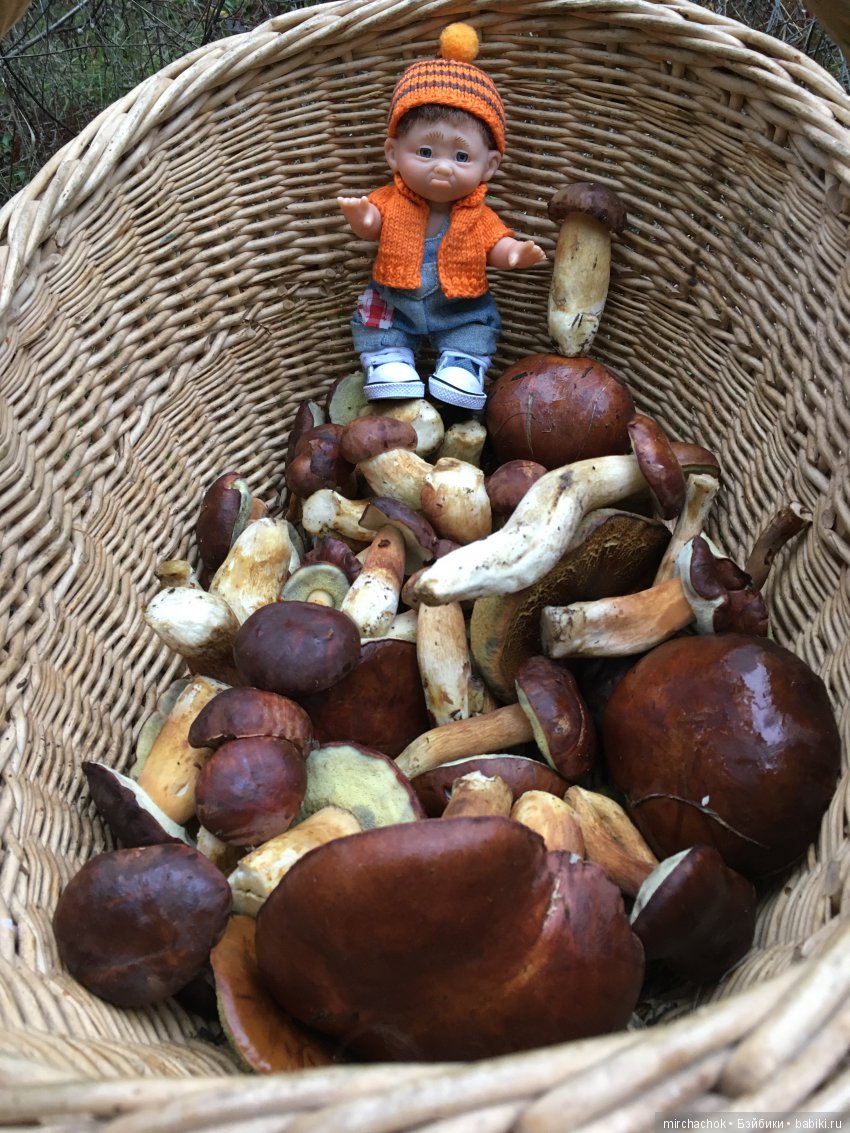 Осень не уходи — Куклы D'Anton Jos (Д'Антон Джос): характерные