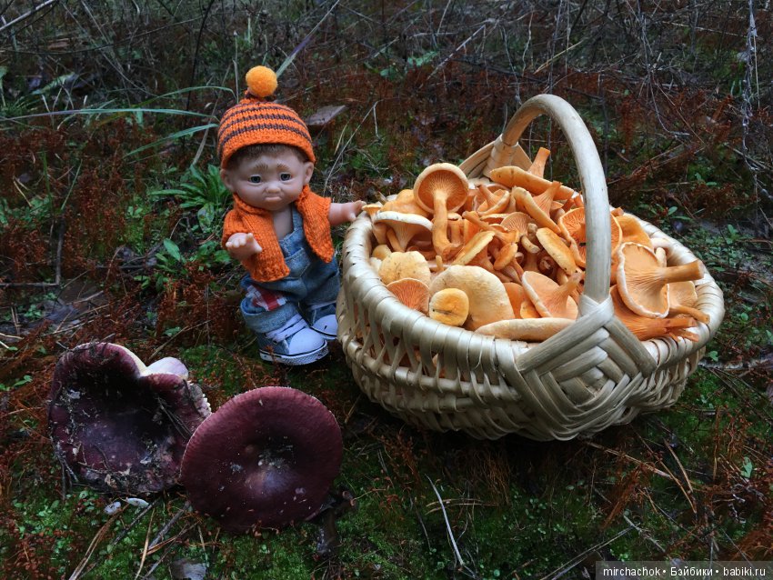 Осень не уходи — Куклы D'Anton Jos (Д'Антон Джос): характерные (фото 3)