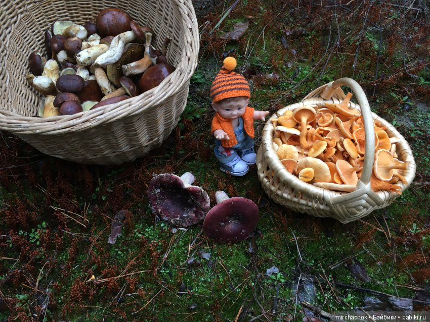 Осень не уходи — Куклы D'Anton Jos (Д'Антон Джос): характерные (фото 2)