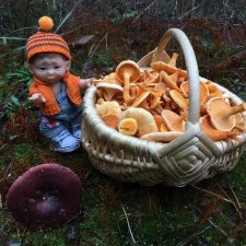 Осень не уходи