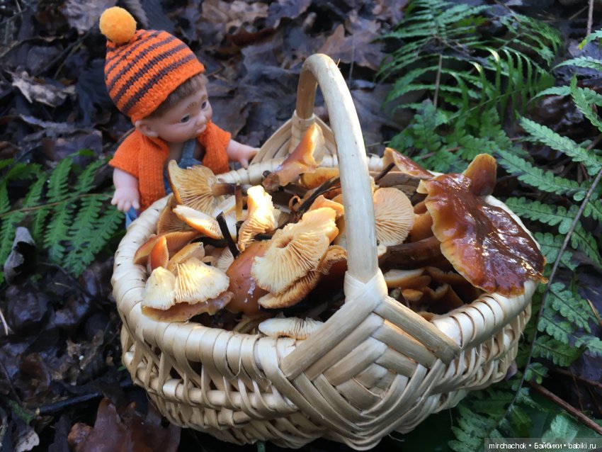 Зимняя грибалка — Куклы D'Anton Jos (Д'Антон Джос): характерные (фото 8)