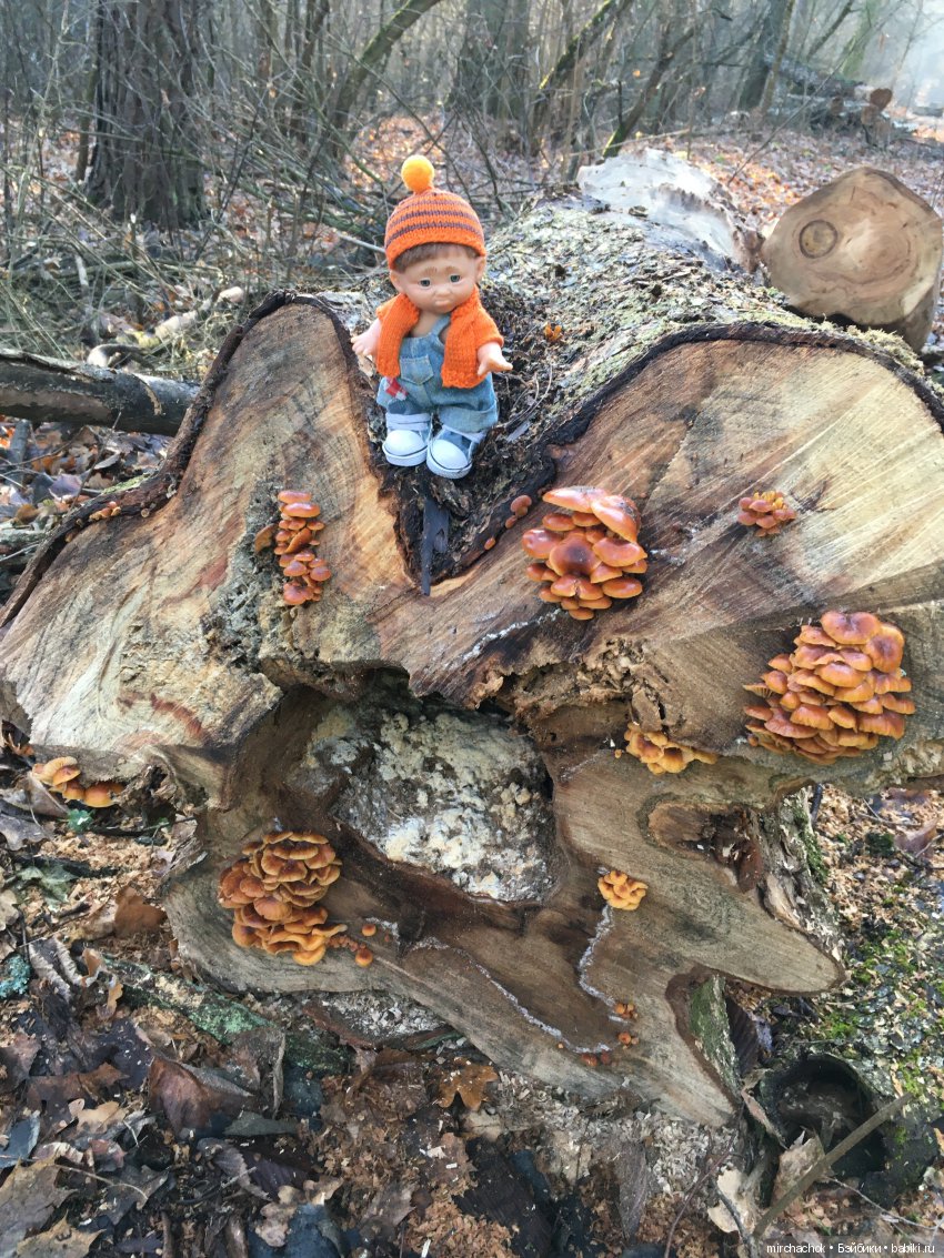Зимняя грибалка — Куклы D'Anton Jos (Д'Антон Джос): характерные (фото 6)