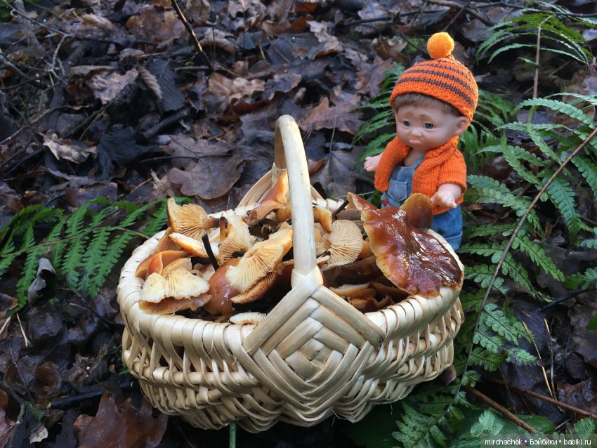 Зимняя грибалка — Куклы D'Anton Jos (Д'Антон Джос): характерные (фото 9)