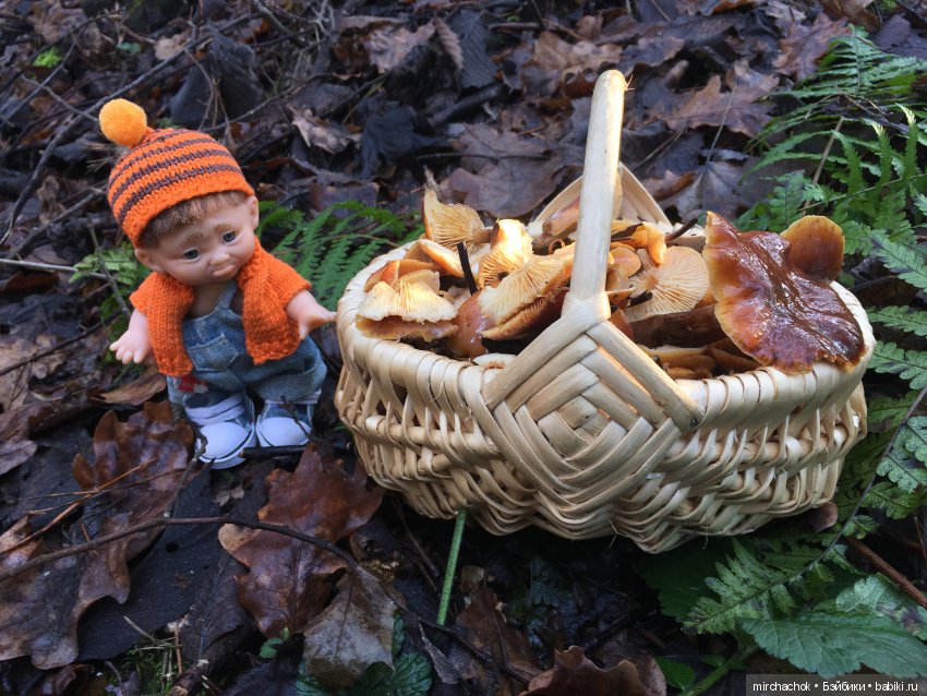 Зимняя грибалка — Куклы D'Anton Jos (Д'Антон Джос): характерные (фото 7)