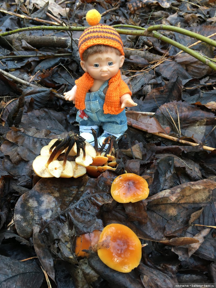 Зимняя грибалка — Куклы D'Anton Jos (Д'Антон Джос): характерные (фото 3)