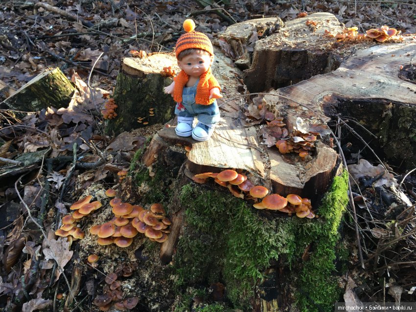 Зимняя грибалка — Куклы D'Anton Jos (Д'Антон Джос): характерные (фото 5)