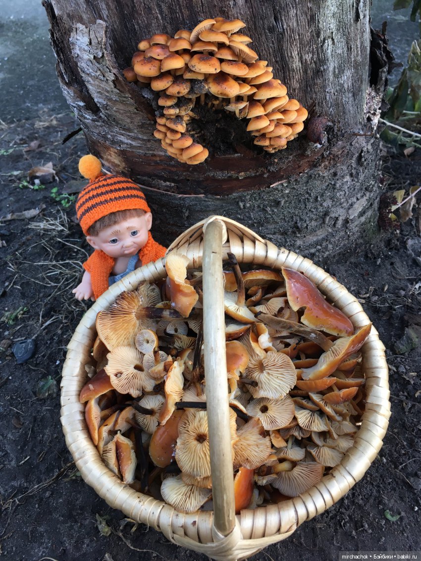 Зимняя грибалка — Куклы D'Anton Jos (Д'Антон Джос): характерные (фото 10)