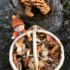 Зимняя грибалка