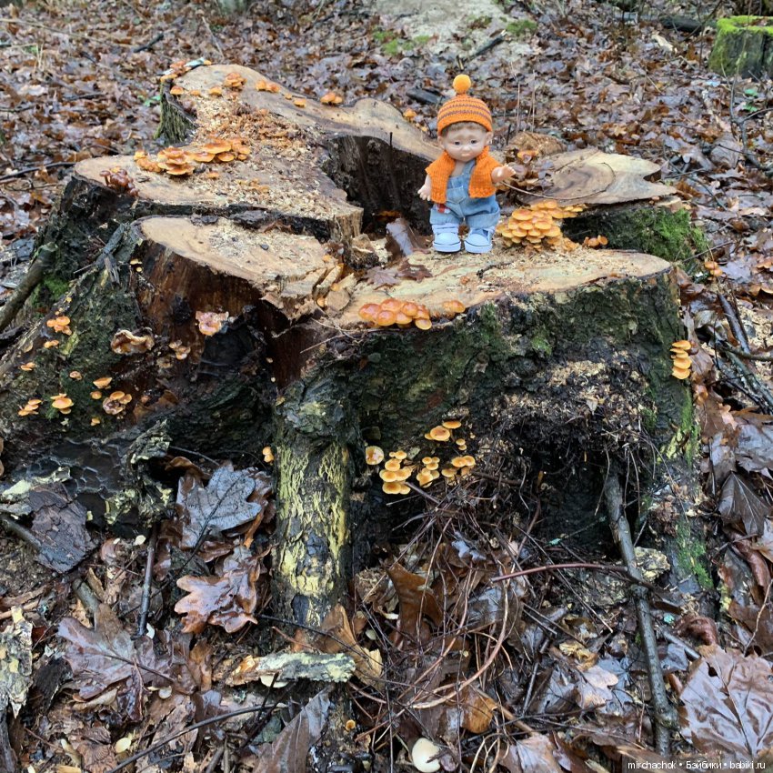 Продолжение Рождественского банкета (фото 4)