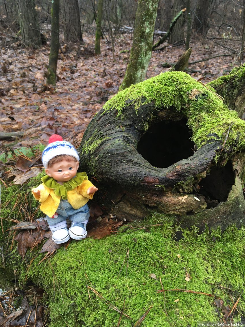 Прогулка под тёплым январским дождём