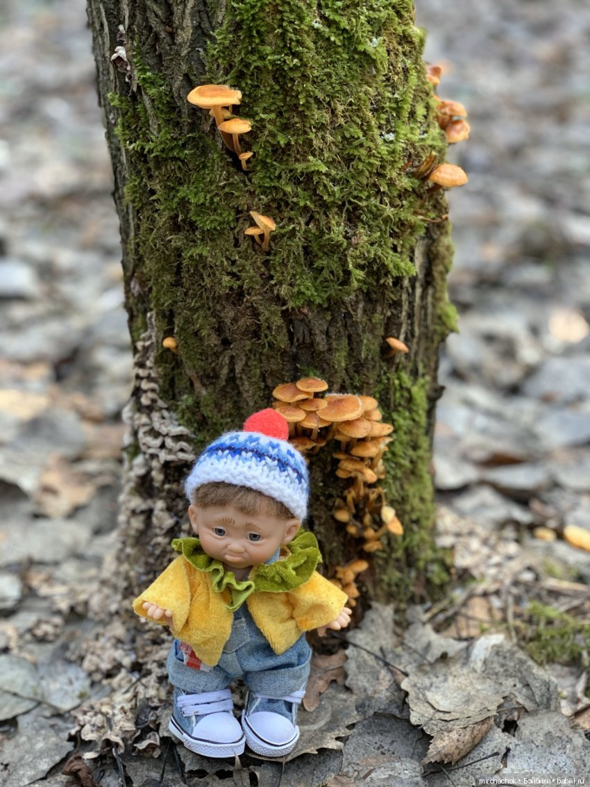 Прогулка под тёплым январским дождём