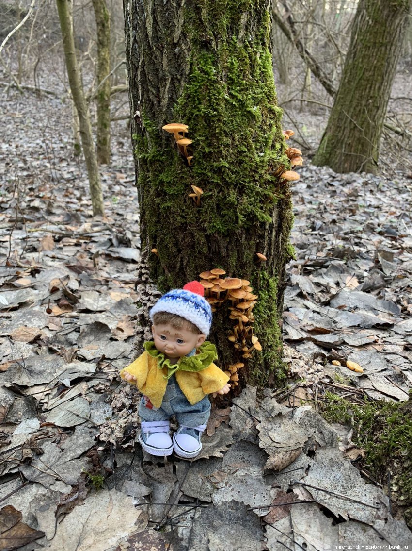 Прогулка под тёплым январским дождём