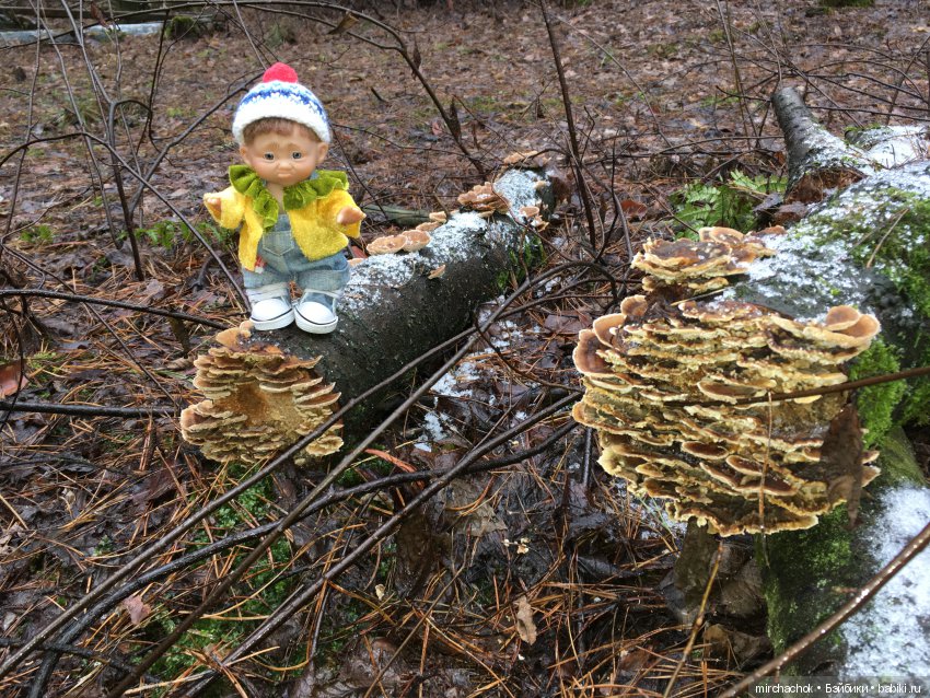 Прогулка под тёплым январским дождём
