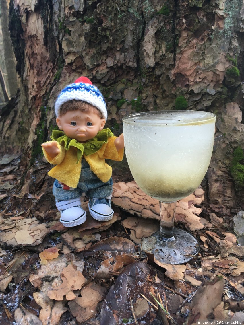 Прогулка под тёплым январским дождём (фото 5)