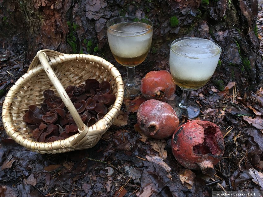 Прогулка под тёплым январским дождём