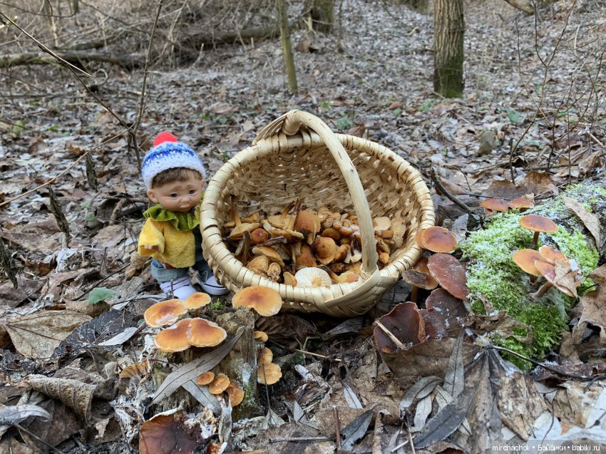 Прогулка под тёплым январским дождём