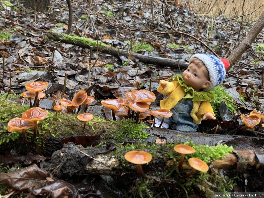 Прогулка под тёплым январским дождём