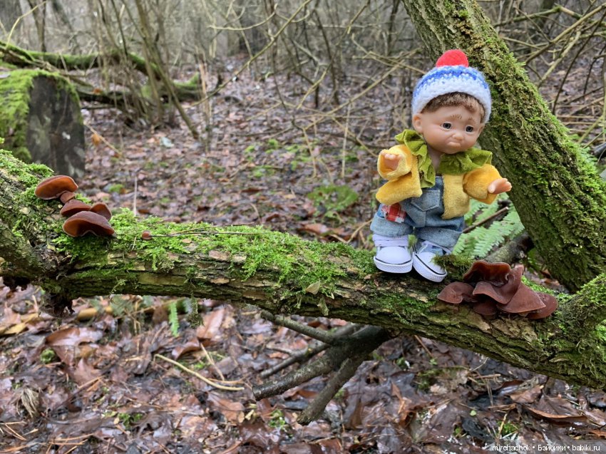 Прогулка под тёплым январским дождём
