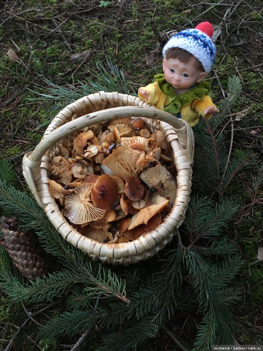 Прогулка под тёплым январским дождём