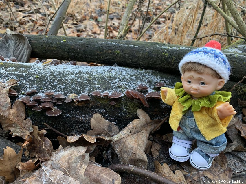 Прогулка под тёплым январским дождём