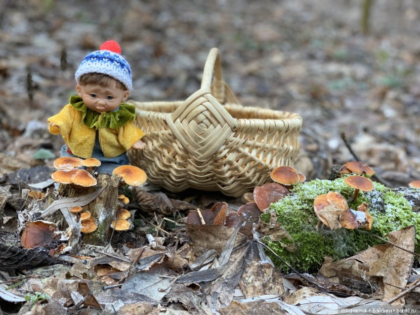 Прогулка под тёплым январским дождём